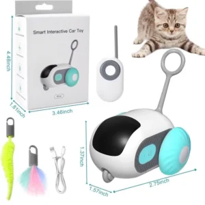 Interactive Cat Toy with Remote Control